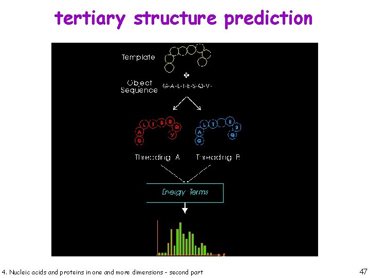 tertiary structure prediction 4. Nucleic acids and proteins in one and more dimensions -