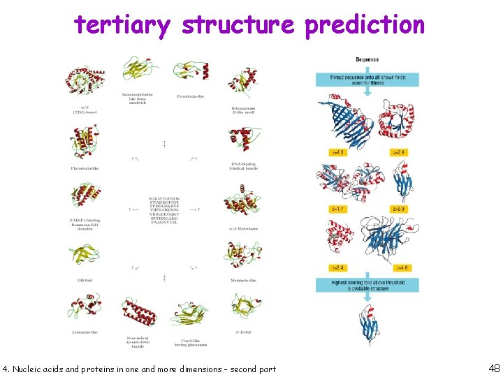 tertiary structure prediction 4. Nucleic acids and proteins in one and more dimensions -