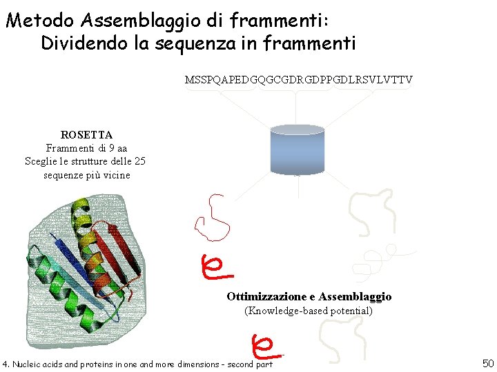 Metodo Assemblaggio di frammenti: Dividendo la sequenza in frammenti MSSPQAPEDGQGCGDRGDPPGDLRSVLVTTV ROSETTA Frammenti di 9