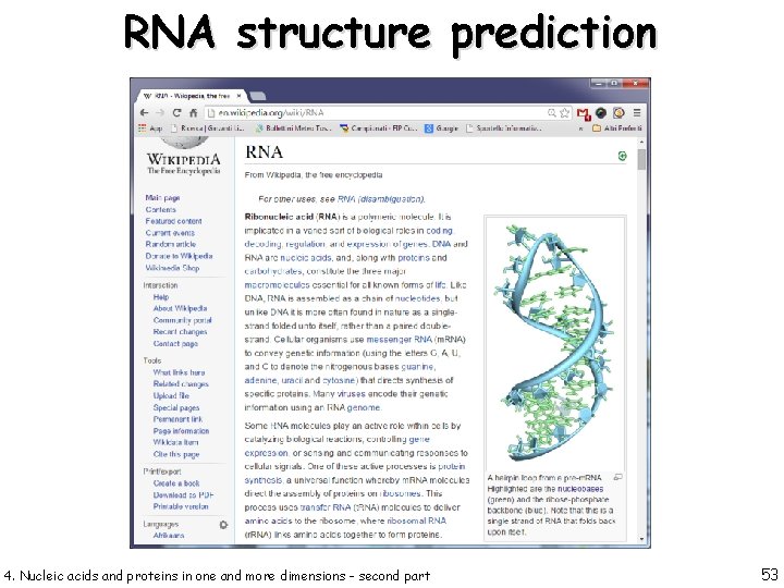 RNA structure prediction 4. Nucleic acids and proteins in one and more dimensions -