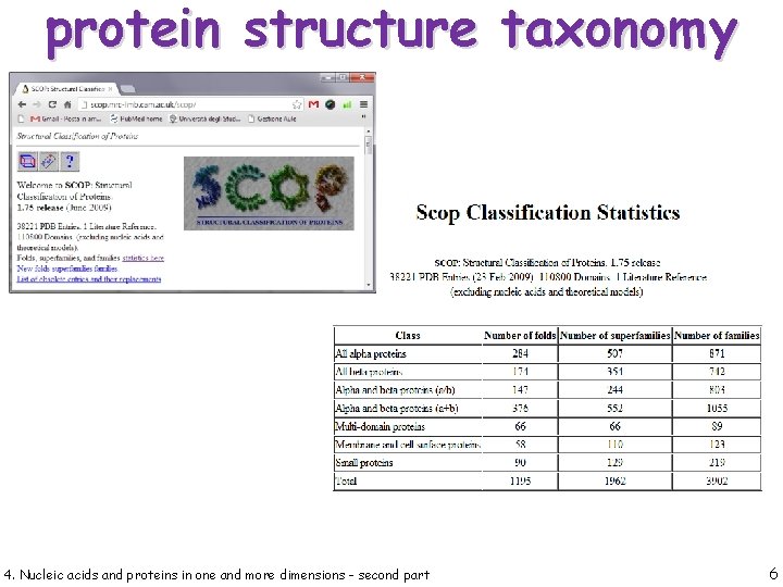 protein structure taxonomy 4. Nucleic acids and proteins in one and more dimensions -