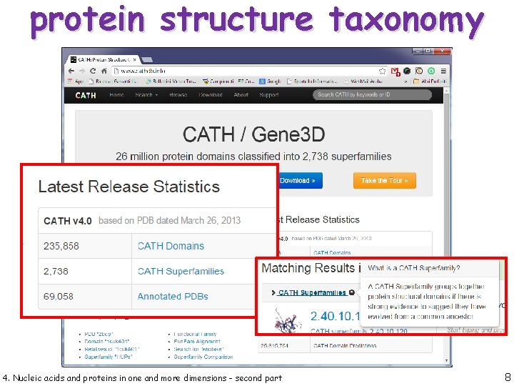 protein structure taxonomy 4. Nucleic acids and proteins in one and more dimensions -