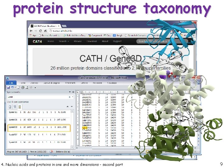 protein structure taxonomy 4. Nucleic acids and proteins in one and more dimensions -