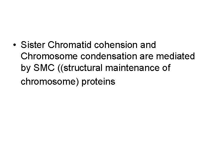  • Sister Chromatid cohension and Chromosome condensation are mediated by SMC ((structural maintenance