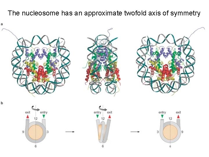 The nucleosome has an approximate twofold axis of symmetry 