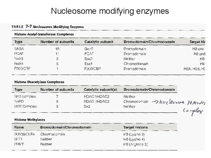 Nucleosome modifying enzymes 