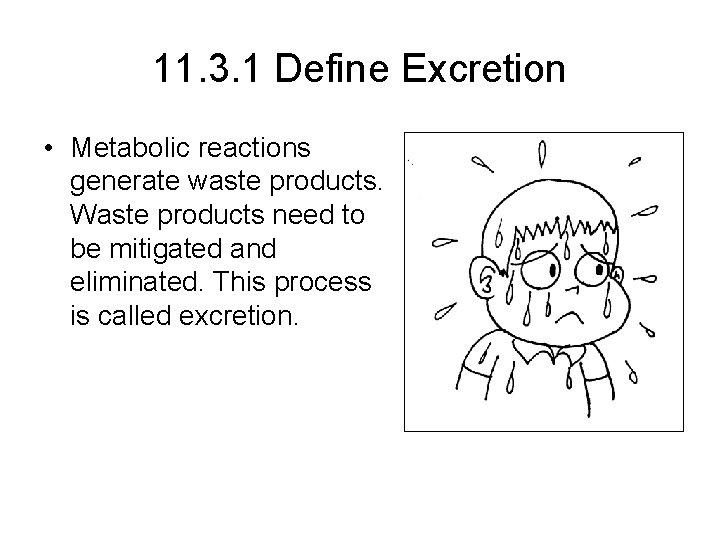 11. 3. 1 Define Excretion • Metabolic reactions generate waste products. Waste products need 11. 3. 1 Define Excretion • Metabolic reactions generate waste products. Waste products need