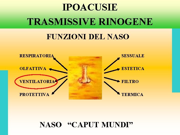 IPOACUSIE TRASMISSIVE RINOGENE FUNZIONI DEL NASO RESPIRATORIA SESSUALE OLFATTIVA ESTETICA VENTILATORIA FILTRO PROTETTIVA TERMICA