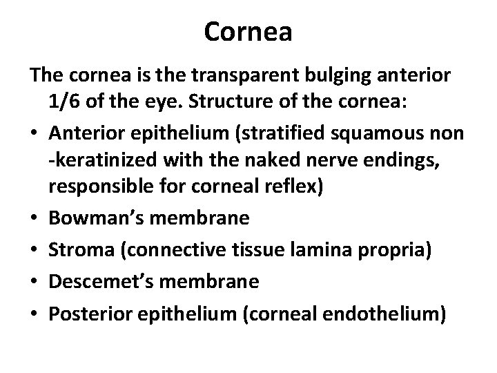 Cornea The cornea is the transparent bulging anterior 1/6 of the eye. Structure of