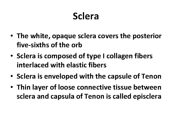 Sclera • The white, opaque sclera covers the posterior five-sixths of the orb •