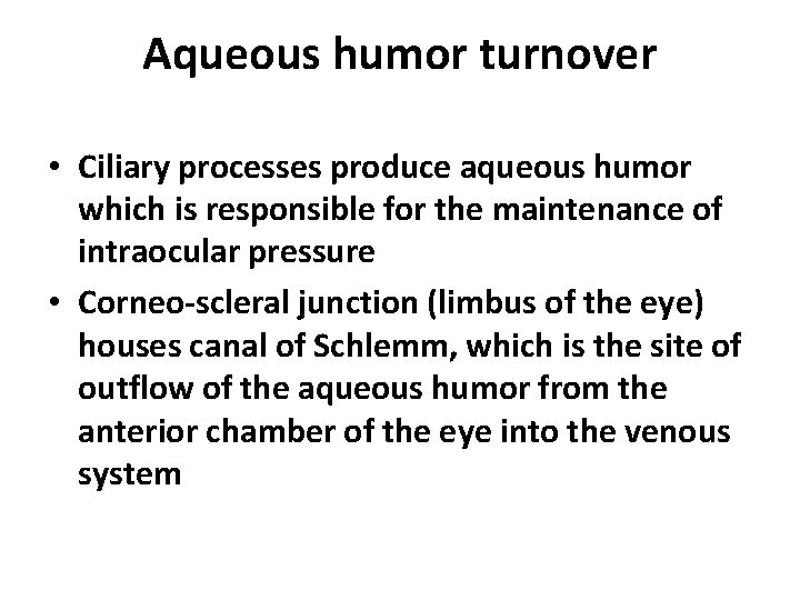 Aqueous humor turnover • Ciliary processes produce aqueous humor which is responsible for the