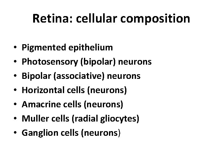 Retina: cellular composition • • Pigmented epithelium Photosensory (bipolar) neurons Bipolar (associative) neurons Horizontal