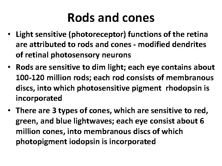 Rods and cones • Light sensitive (photoreceptor) functions of the retina are attributed to