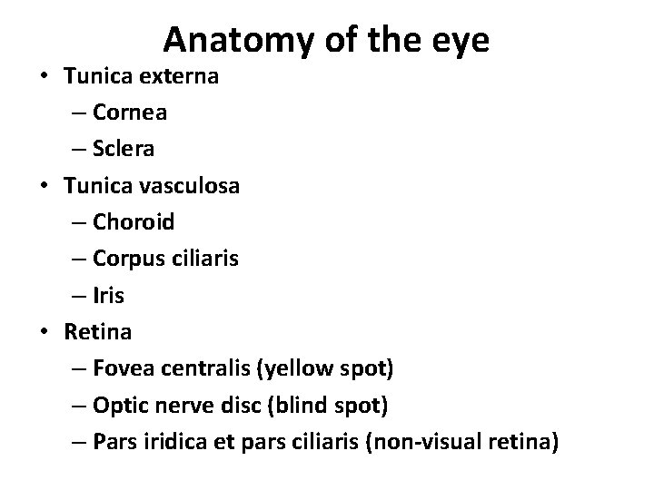 Anatomy of the eye • Tunica externa – Cornea – Sclera • Tunica vasculosa