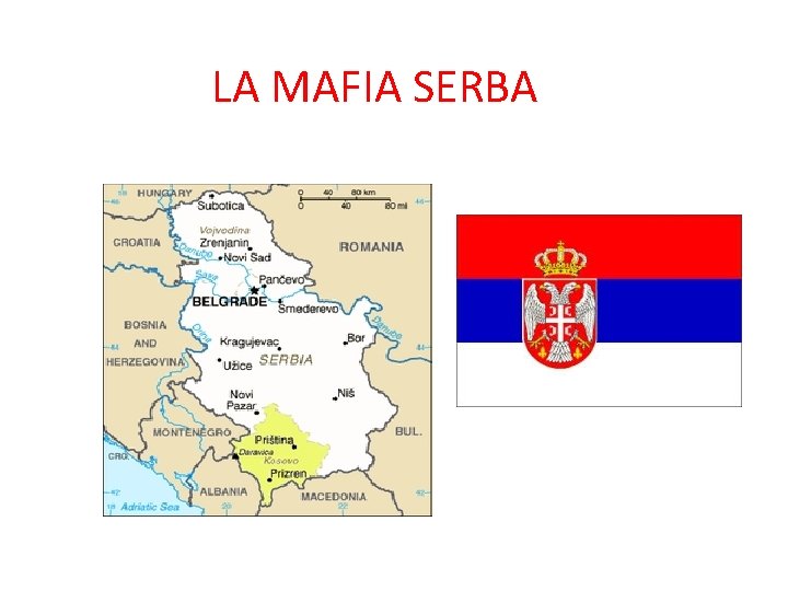 LA MAFIA SERBA 