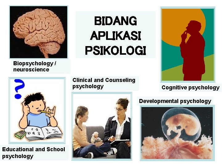 BIDANG APLIKASI PSIKOLOGI Biopsychology / neuroscience Clinical and Counseling psychology Cognitive psychology Developmental psychology