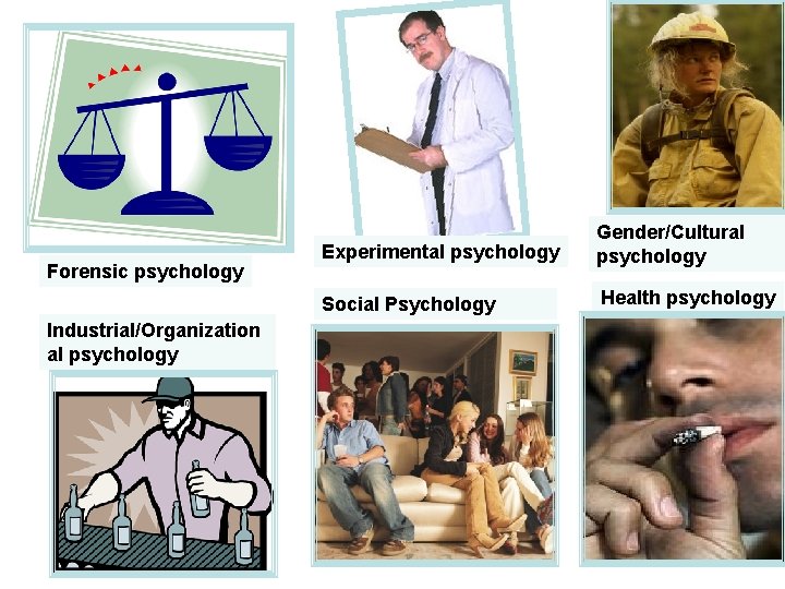 Forensic psychology Industrial/Organization al psychology Experimental psychology Gender/Cultural psychology Social Psychology Health psychology 