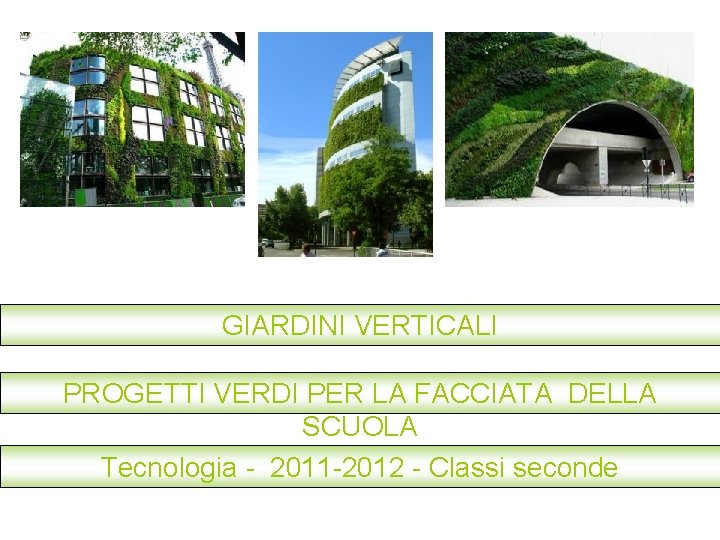 GIARDINI VERTICALI PROGETTI VERDI PER LA FACCIATA DELLA SCUOLA Tecnologia - 2011 -2012 -