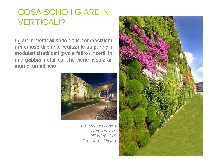 COSA SONO I GIARDINI VERTICALI? I giardini verticali sono delle composizioni armoniose di piante