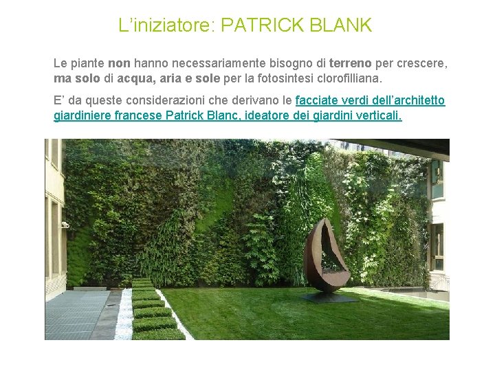 L’iniziatore: PATRICK BLANK Le piante non hanno necessariamente bisogno di terreno per crescere, ma