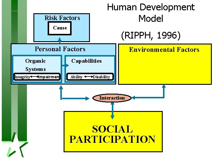 Human Development Model Risk Factors Cause (RIPPH, 1996) Personal Factors Organic Systems Integrity Impairment