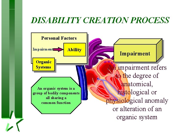 DISABILITY CREATION PROCESS Personal Factors Impairment Ability Organic Systems An organic system is a