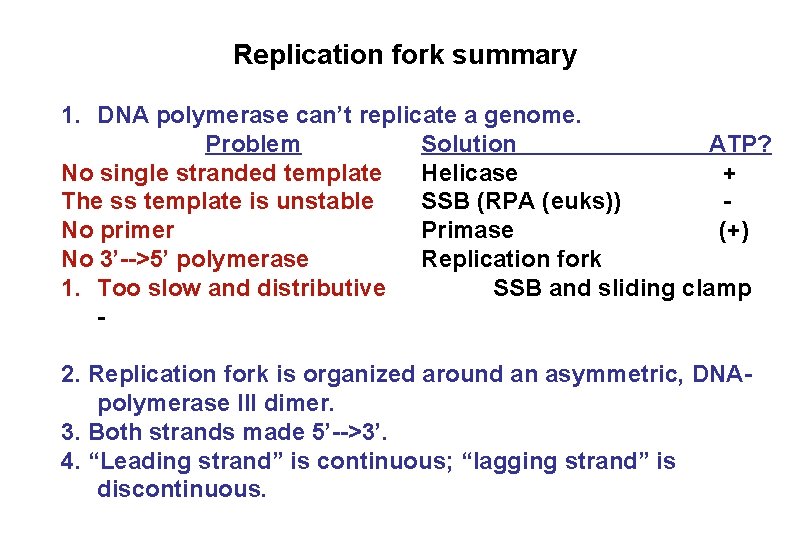 Replication fork summary 1. DNA polymerase can’t replicate a genome. Problem Solution ATP? No