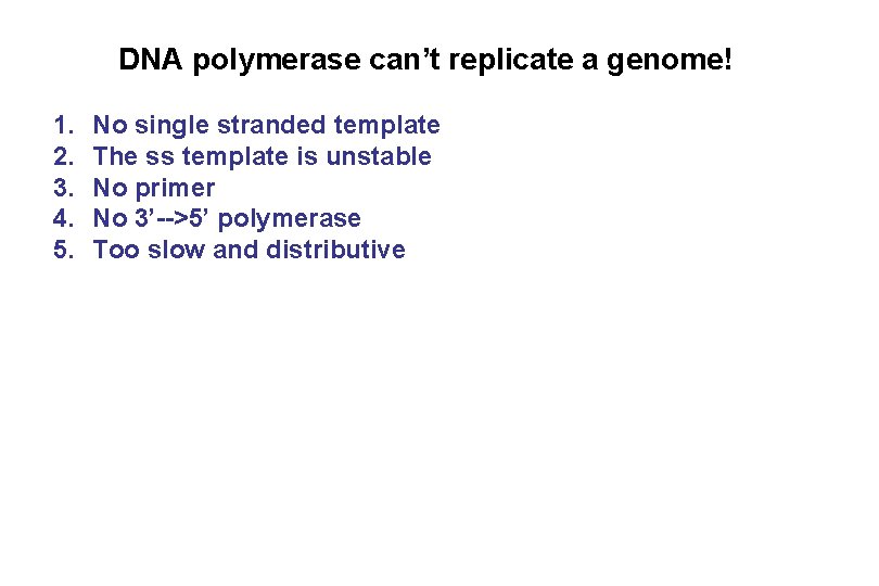 DNA polymerase can’t replicate a genome! 1. 2. 3. 4. 5. No single stranded
