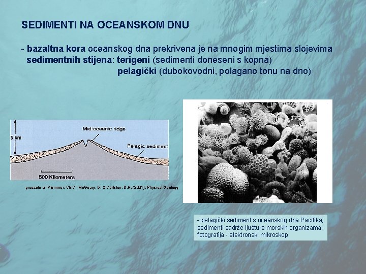 SEDIMENTI NA OCEANSKOM DNU - bazaltna kora oceanskog dna prekrivena je na mnogim mjestima