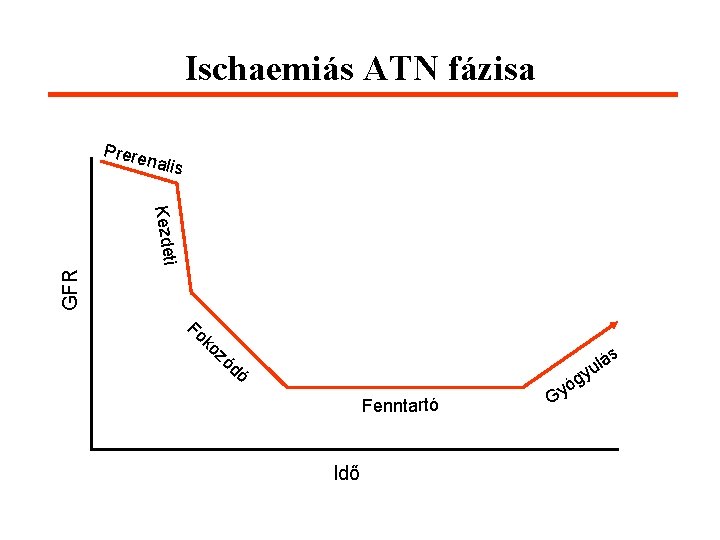 Ischaemiás ATN fázisa Prere nalis GFR Kezdeti Fo ko zó lás u y dó