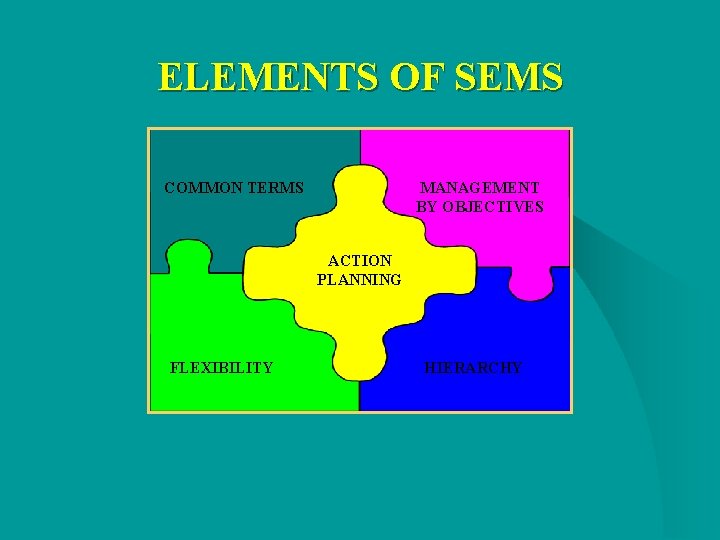 ELEMENTS OF SEMS COMMON TERMS MANAGEMENT BY OBJECTIVES ACTION PLANNING FLEXIBILITY HIERARCHY ELEMENTS OF SEMS COMMON TERMS MANAGEMENT BY OBJECTIVES ACTION PLANNING FLEXIBILITY HIERARCHY