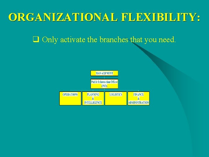 ORGANIZATIONAL FLEXIBILITY: q Only activate the branches that you need. ORGANIZATIONAL FLEXIBILITY: q Only activate the branches that you need.
