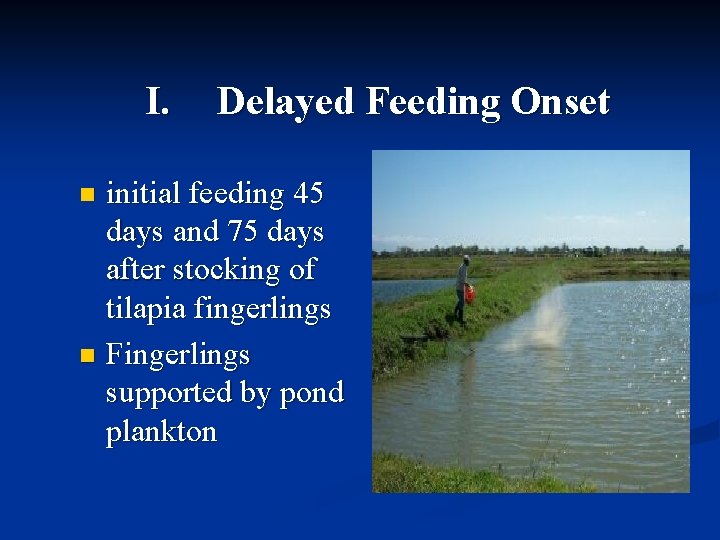 I. Delayed Feeding Onset initial feeding 45 days and 75 days after stocking of