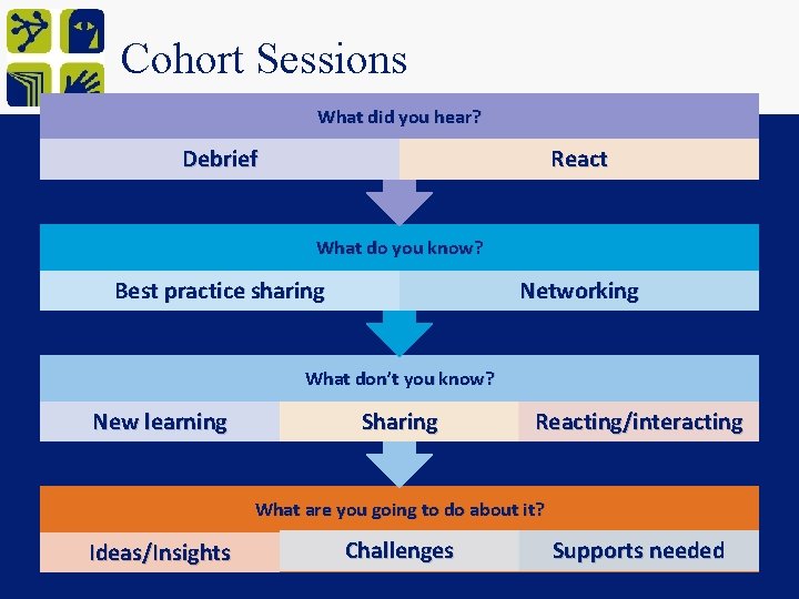 Cohort Sessions What did you hear? Debrief React What do you know? Best practice