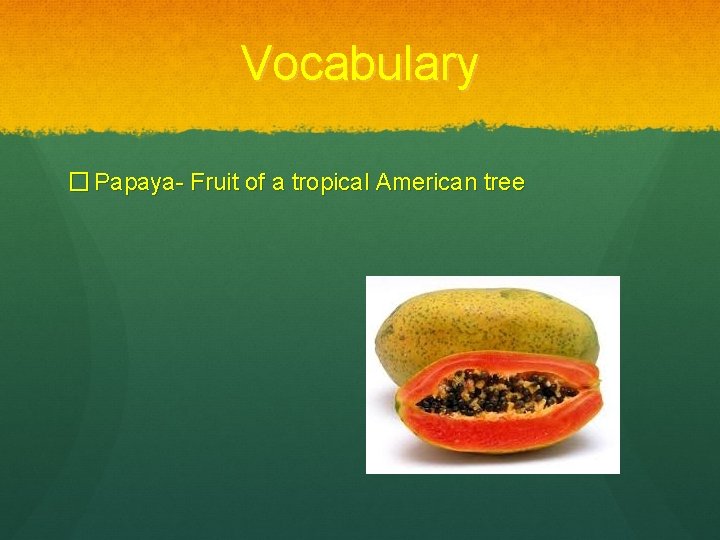 Vocabulary � Papaya- Fruit of a tropical American tree 