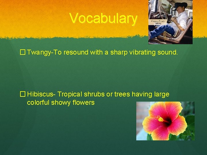 Vocabulary � Twangy-To resound with a sharp vibrating sound. Twangy- � Hibiscus- Tropical shrubs