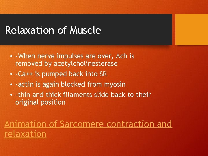 Relaxation of Muscle • -When nerve impulses are over, Ach is removed by acetylcholinesterase Relaxation of Muscle • -When nerve impulses are over, Ach is removed by acetylcholinesterase