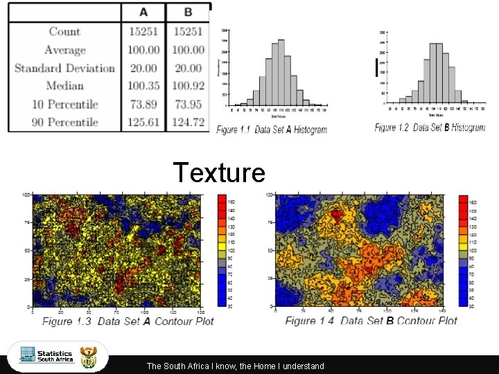 Texture The South Africa I know, the Home I understand 