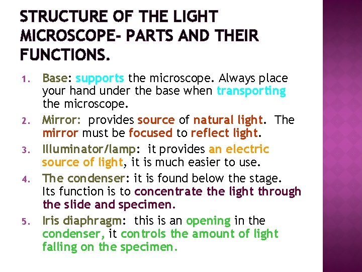 STRUCTURE OF THE LIGHT MICROSCOPE- PARTS AND THEIR FUNCTIONS. 1. 2. 3. 4. 5.