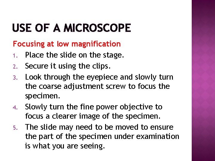 USE OF A MICROSCOPE Focusing at low magnification 1. Place the slide on the