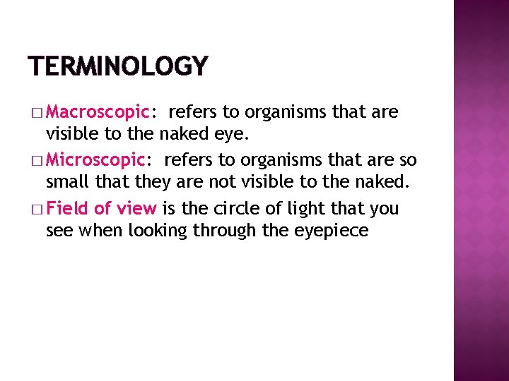 TERMINOLOGY � Macroscopic: refers to organisms that are visible to the naked eye. �