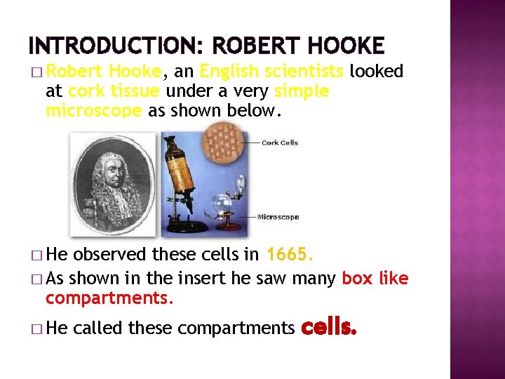 INTRODUCTION: ROBERT HOOKE � Robert Hooke, an English scientists looked at cork tissue under