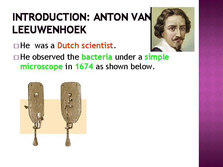 INTRODUCTION: ANTON VAN LEEUWENHOEK � He was a Dutch scientist. � He observed the