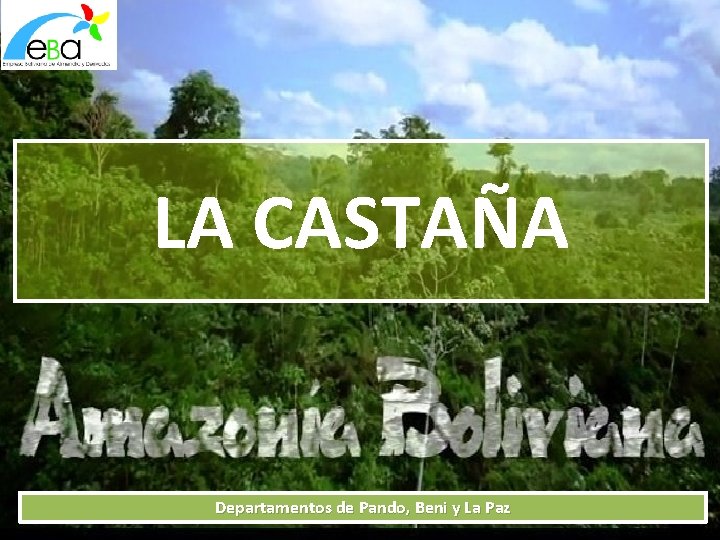 LA CASTAA Departamentos de Pando Beni y La