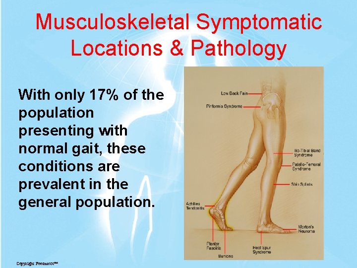 Musculoskeletal Symptomatic Locations & Pathology With only 17% of the population presenting with normal