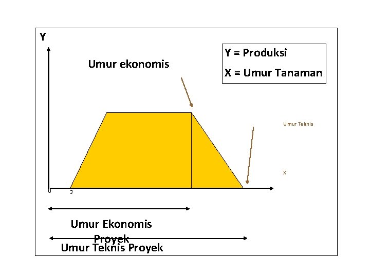 Y Umur ekonomis Y = Produksi X = Umur Tanaman Umur Teknis X 0