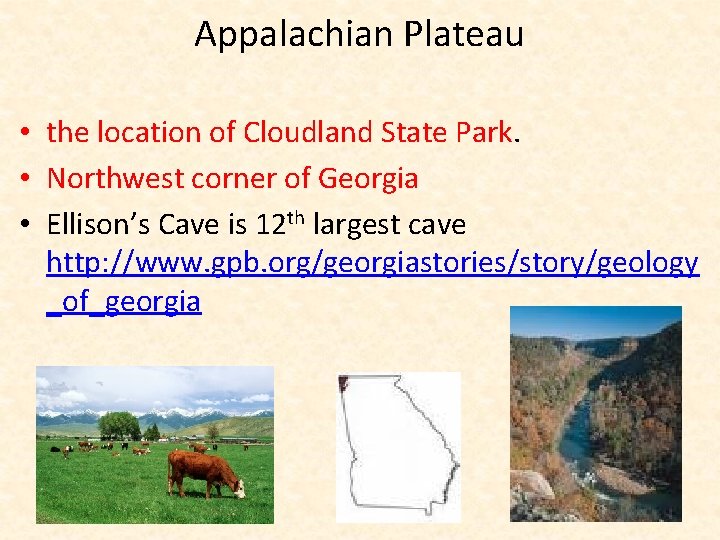 Appalachian Plateau • the location of Cloudland State Park. • Northwest corner of Georgia