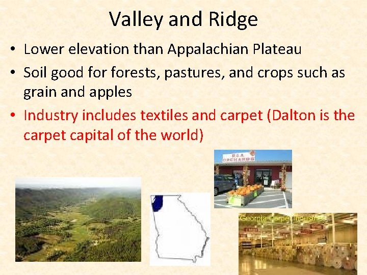 Valley and Ridge • Lower elevation than Appalachian Plateau • Soil good forests, pastures,