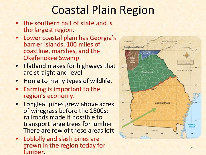 Coastal Plain Region • the southern half of state and is the largest region.