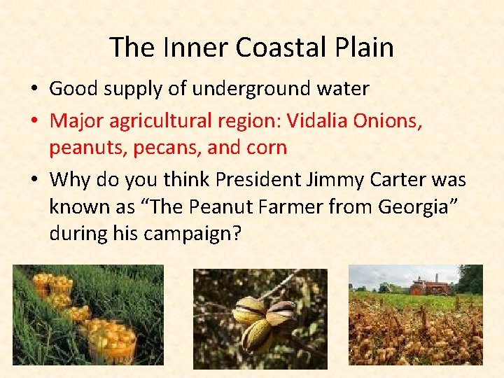 The Inner Coastal Plain • Good supply of underground water • Major agricultural region: